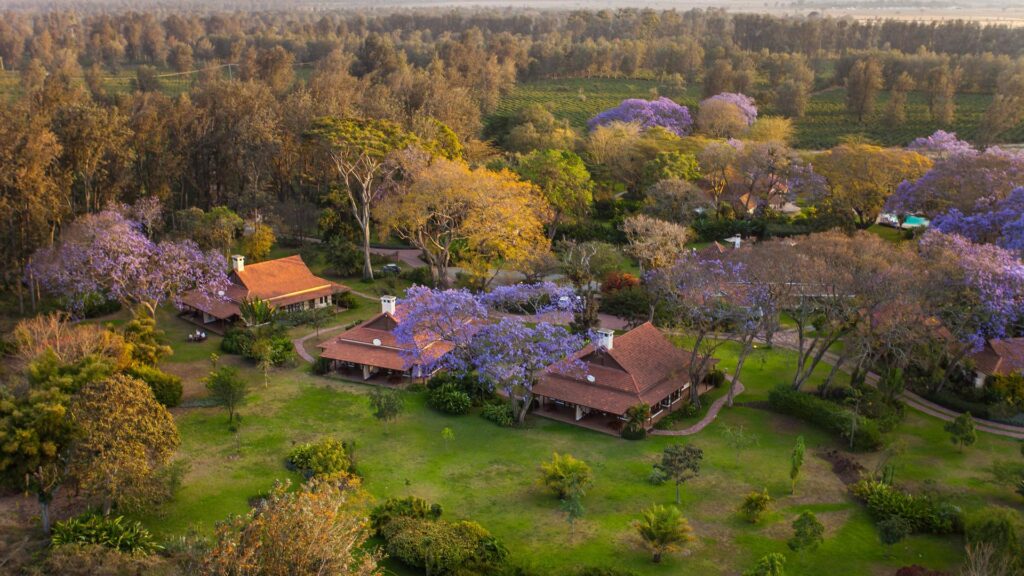 Legendary lodge - aerial view