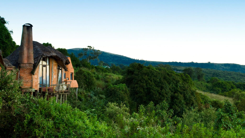 Safari lodge