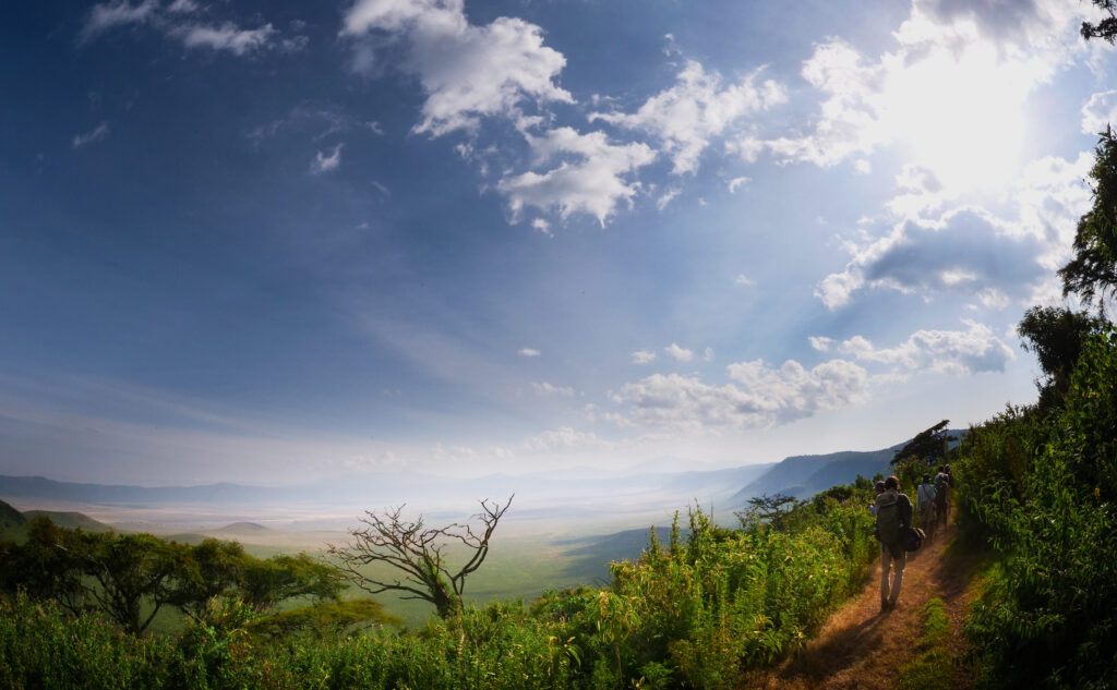 Ngorongoro Walking Safari
