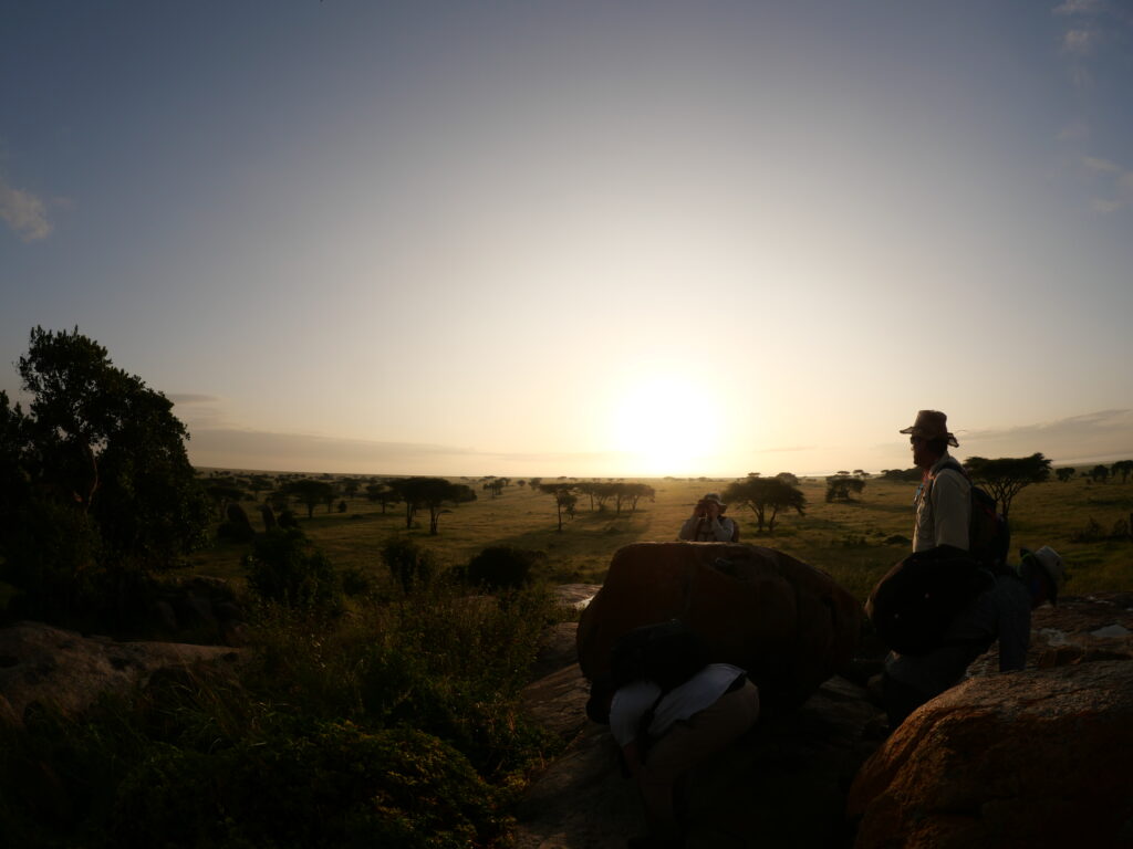 Wayo Walking Camp - wildlife