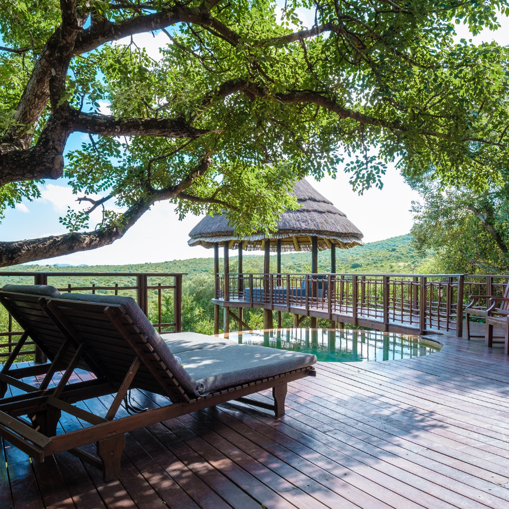 Safari Lodge
