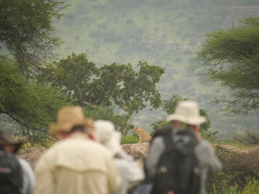 Wayo Walking Camp - wildlife