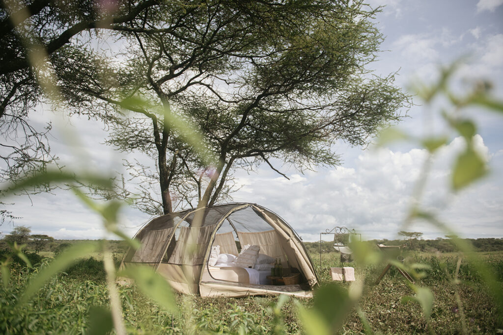 Wayo Walking Camp