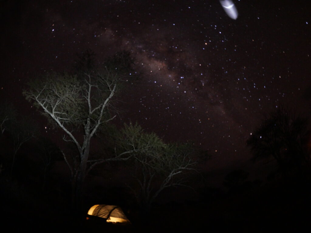 Wayo Walking Camp - night sky
