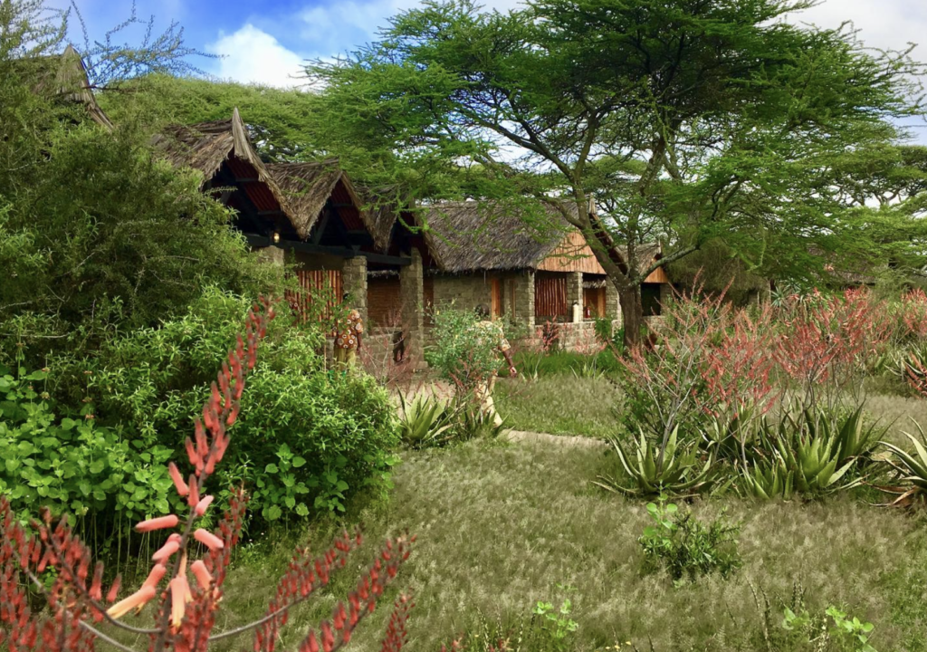 Ndutu safari lodge bandas
