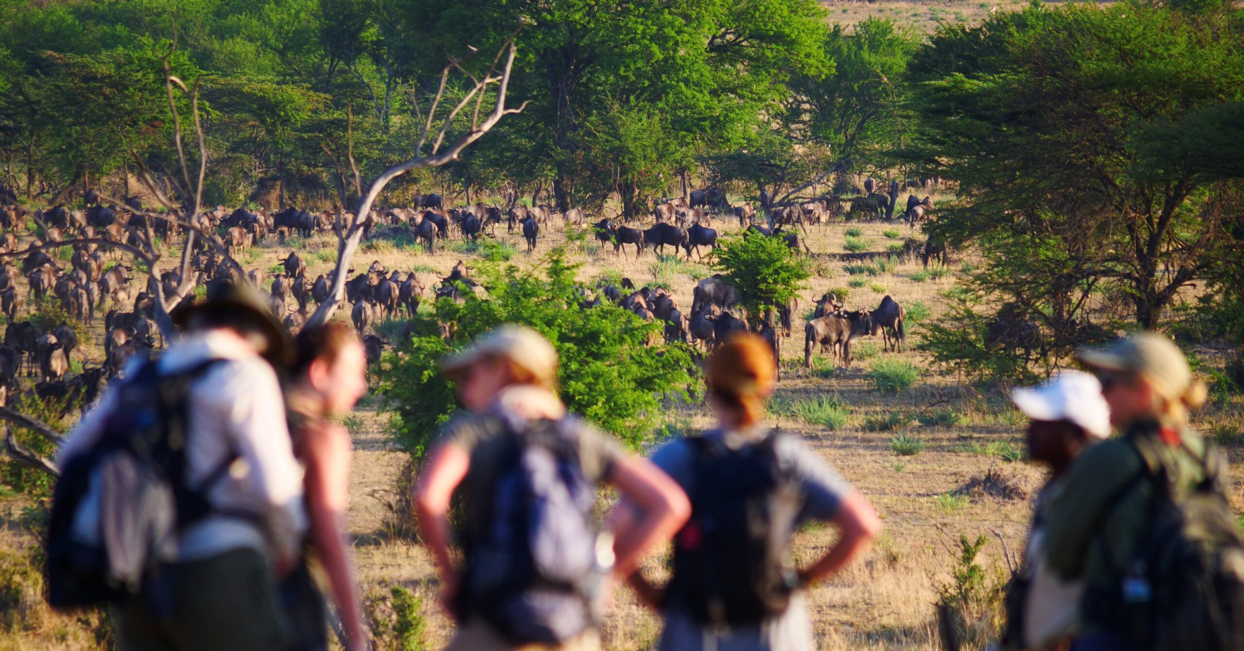 Africa Geographic – Serengeti Ultimate Walking Safaris