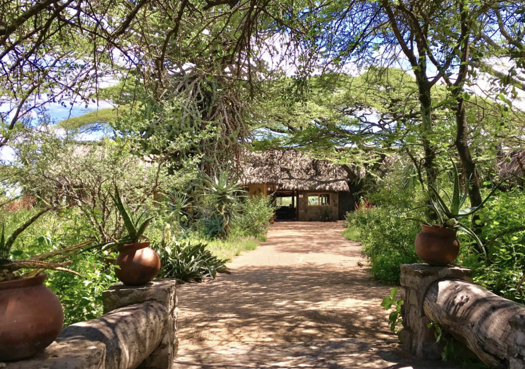Ndutu Safari Lodge