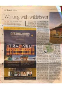 Article from the Times about walking with Wayo Africa